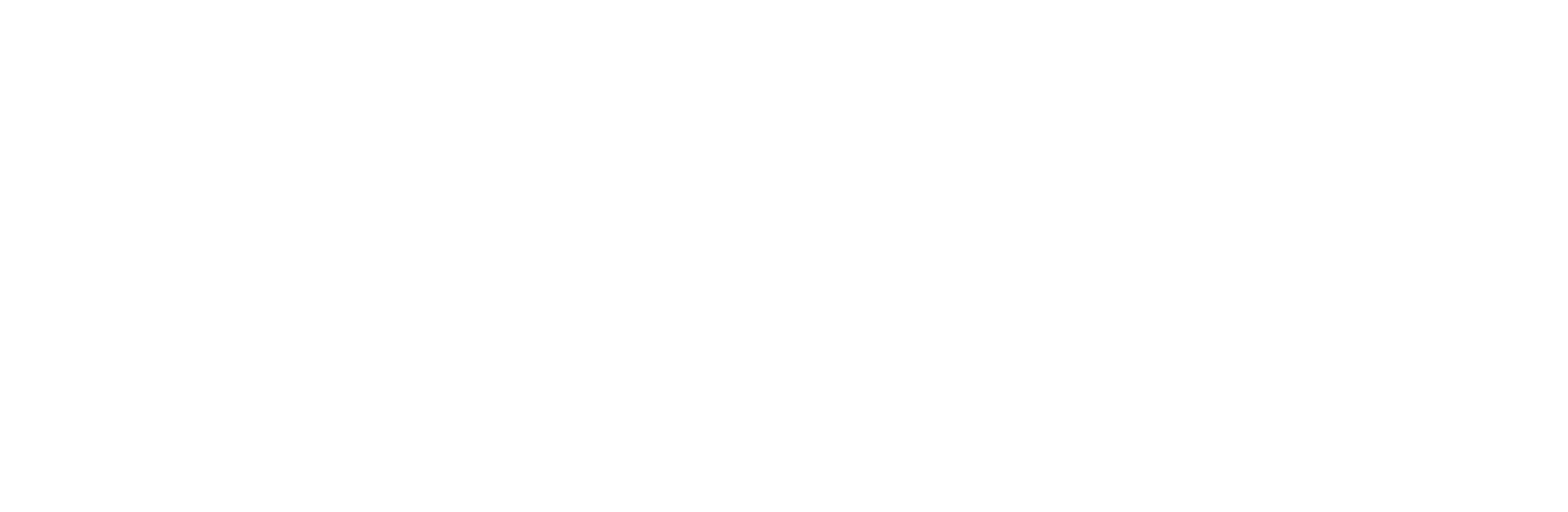 Signature Travel Network