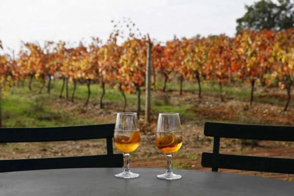 Setúbal & Moscatel