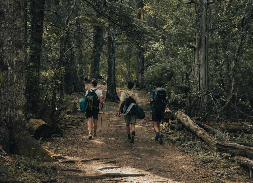 Caminhadas & Percursos Pedestres